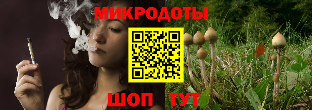 Псилоцибиновые грибы Psilocybe  Галлюциногенные грибы Magic Shrooms  Вход с VPN  Михайловка 